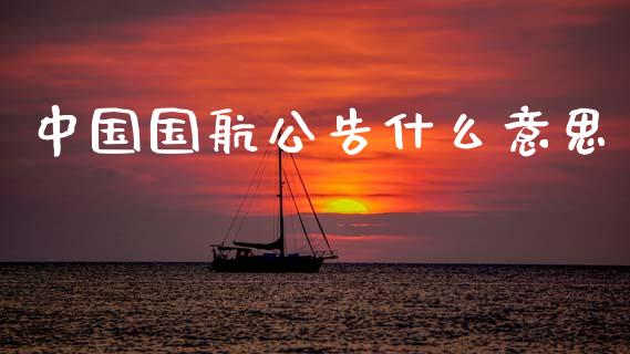 中国国航公告什么意思_https://m.kuaijiepai.net_债券投资_第1张