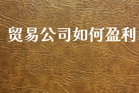贸易公司如何盈利_https://m.kuaijiepai.net_债券投资_第1张