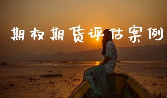 期权期货评估案例_https://m.kuaijiepai.net_资产证券化_第1张