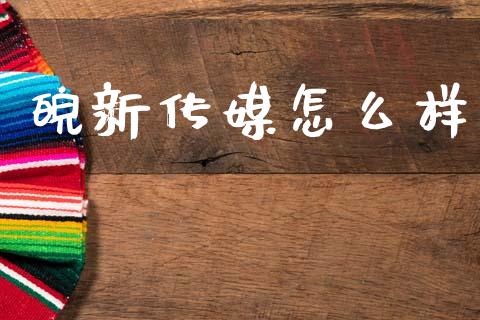 皖新传媒怎么样_https://m.kuaijiepai.net_债券投资_第1张