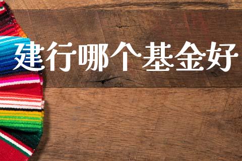建行哪个基金好_https://m.kuaijiepai.net_资产证券化_第1张