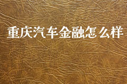 重庆汽车金融怎么样_https://m.kuaijiepai.net_货币基金_第1张