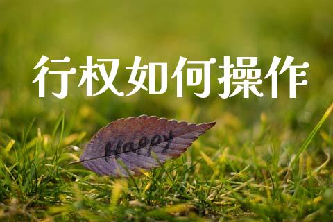 行权如何操作_https://m.kuaijiepai.net_债券投资_第1张