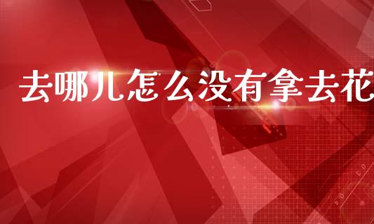 去哪儿怎么没有拿去花_https://m.kuaijiepai.net_货币基金_第1张