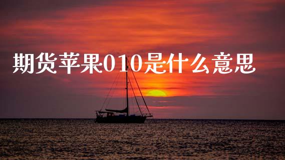 期货苹果010是什么意思_https://m.kuaijiepai.net_货币基金_第1张