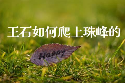 王石如何爬上珠峰的_https://m.kuaijiepai.net_资产证券化_第1张