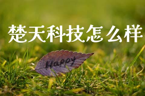楚天科技怎么样_https://m.kuaijiepai.net_债券投资_第1张