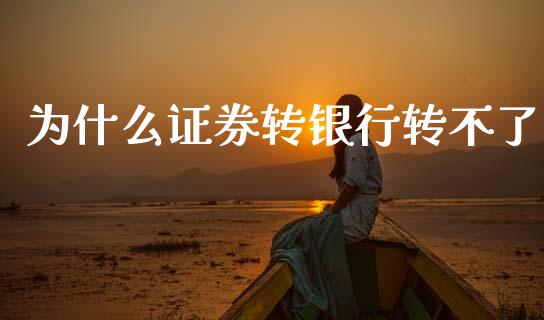 为什么证券转银行转不了_https://m.kuaijiepai.net_债券投资_第1张