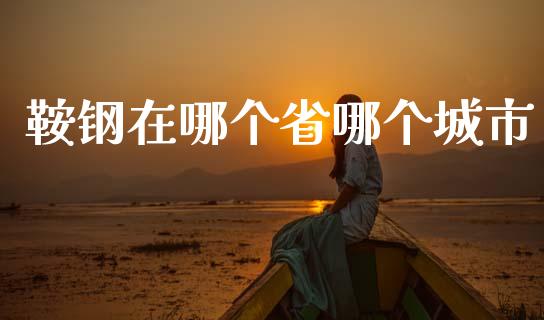鞍钢在哪个省哪个城市_https://m.kuaijiepai.net_资产证券化_第1张