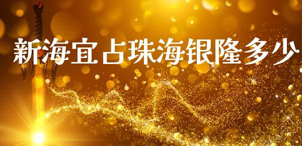 新海宜占珠海银隆多少_https://m.kuaijiepai.net_债券投资_第1张