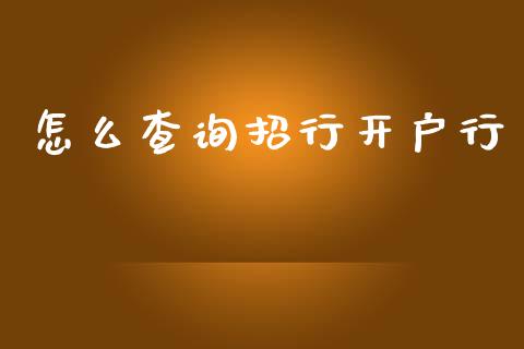 怎么查询招行开户行_https://m.kuaijiepai.net_债券投资_第1张