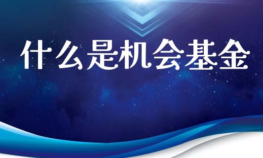 什么是机会基金_https://m.kuaijiepai.net_股票交易_第1张