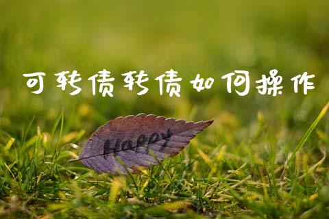 可转债转债如何操作_https://m.kuaijiepai.net_资产证券化_第1张