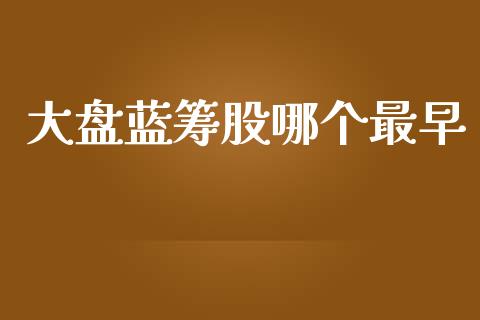 大盘蓝筹股哪个最早_https://m.kuaijiepai.net_债券投资_第1张