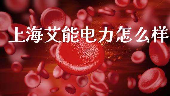 上海艾能电力怎么样_https://m.kuaijiepai.net_股票交易_第1张