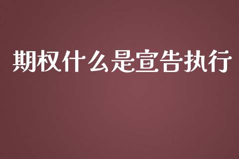 期权什么是宣告执行_https://m.kuaijiepai.net_股票交易_第1张