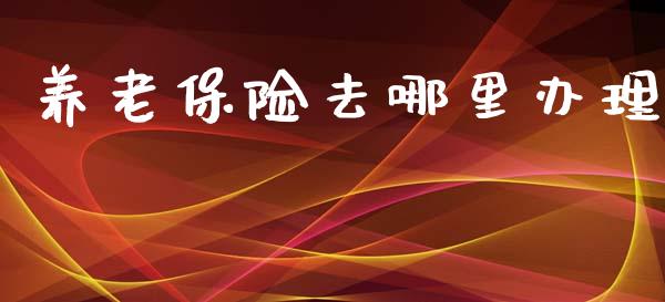 养老保险去哪里办理_https://m.kuaijiepai.net_债券投资_第1张