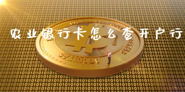 农业银行卡怎么查开户行_https://m.kuaijiepai.net_货币基金_第1张