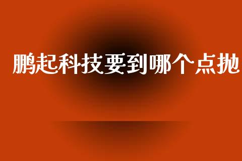 鹏起科技要到哪个点抛_https://m.kuaijiepai.net_资产证券化_第1张