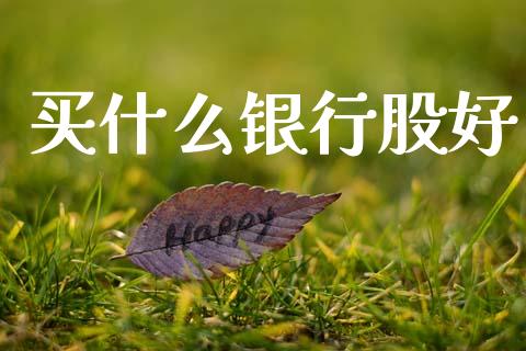 买什么银行股好_https://m.kuaijiepai.net_股票交易_第1张