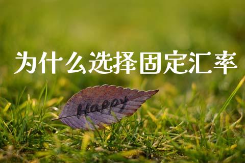 为什么选择固定汇率_https://m.kuaijiepai.net_货币基金_第1张