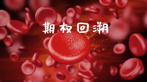 期权回溯_https://m.kuaijiepai.net_货币基金_第1张
