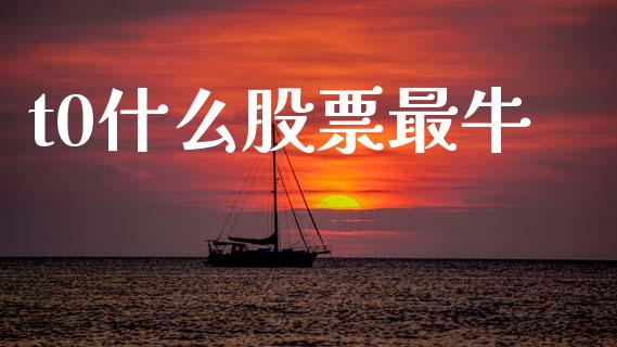 t0什么股票最牛_https://m.kuaijiepai.net_股票交易_第1张