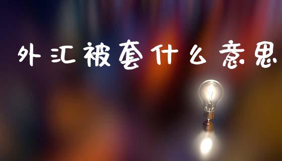 外汇被套什么意思_https://m.kuaijiepai.net_资产证券化_第1张