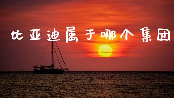 比亚迪属于哪个集团_https://m.kuaijiepai.net_货币基金_第1张