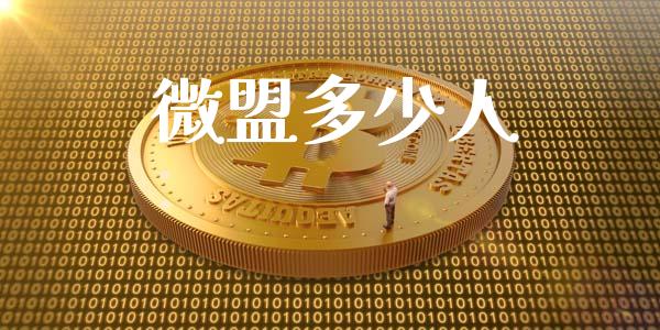 微盟多少人_https://m.kuaijiepai.net_资产证券化_第1张
