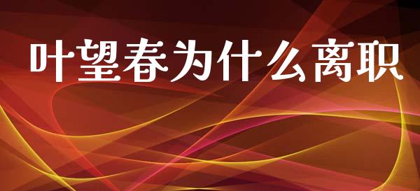 叶望春为什么离职_https://m.kuaijiepai.net_债券投资_第1张