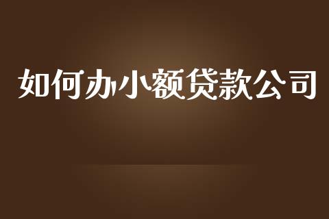 如何办小额贷款公司_https://m.kuaijiepai.net_资产证券化_第1张