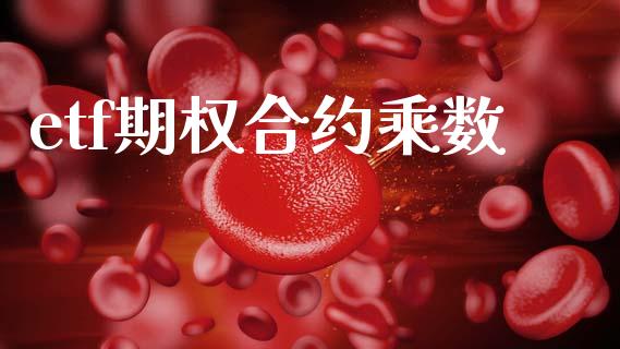 etf期权合约乘数_https://m.kuaijiepai.net_资产证券化_第1张
