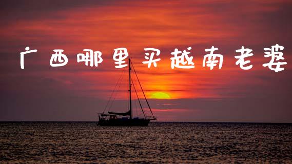 广西哪里买越南老婆_https://m.kuaijiepai.net_股票交易_第1张