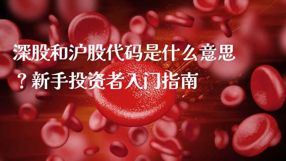 深股和沪股代码是什么意思？新手投资者入门指南_https://m.kuaijiepai.net_资产证券化_第1张