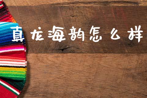 真龙海韵怎么样_https://m.kuaijiepai.net_债券投资_第1张