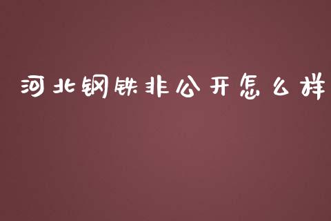 河北钢铁非公开怎么样_https://m.kuaijiepai.net_股票交易_第1张