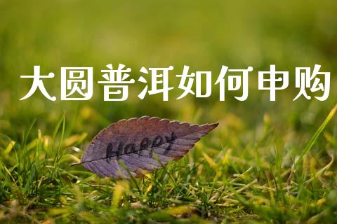 大圆普洱如何申购_https://m.kuaijiepai.net_债券投资_第1张
