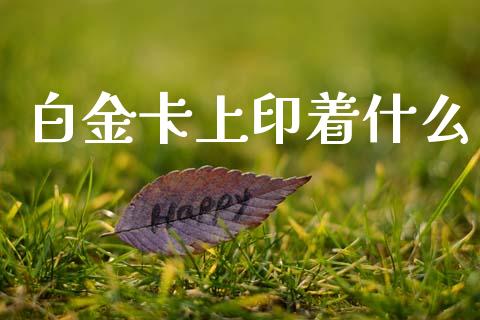 白金卡上印着什么_https://m.kuaijiepai.net_债券投资_第1张