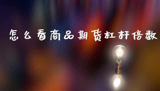 怎么看商品期货杠杆倍数_https://m.kuaijiepai.net_股票交易_第1张