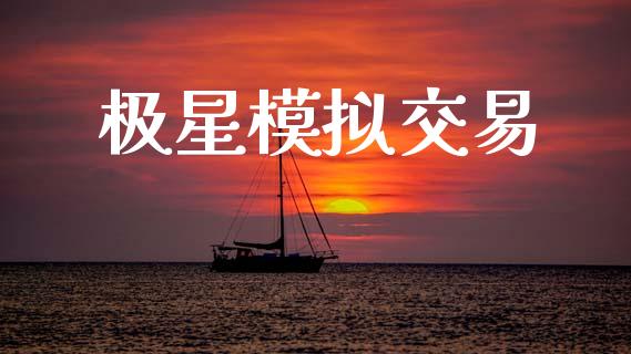 极星模拟交易_https://m.kuaijiepai.net_债券投资_第1张