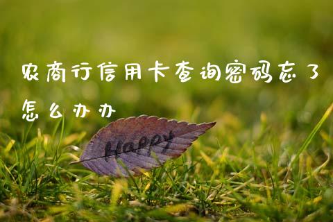 农商行信用卡查询密码忘了怎么办办_https://m.kuaijiepai.net_股票交易_第1张