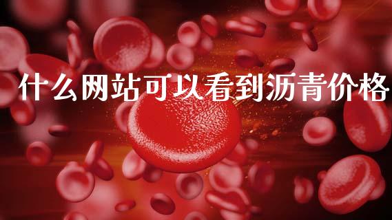 什么网站可以看到沥青价格_https://m.kuaijiepai.net_股票交易_第1张
