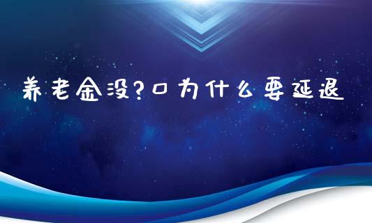 养老金没?口为什么要延退_https://m.kuaijiepai.net_货币基金_第1张