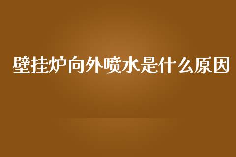 壁挂炉向外喷水是什么原因_货币基金_第1张_货币基金_债券投资_股票交易_资产证券化 壁挂炉向外喷水是什么原因_https://m.kuaijiepai.net_货币基金_第1张
