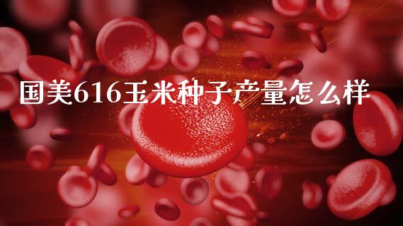 国美616玉米种子产量怎么样_https://m.kuaijiepai.net_债券投资_第1张