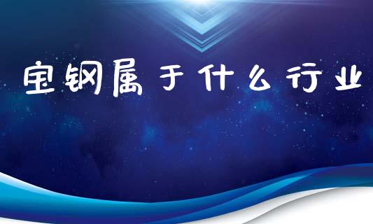 宝钢属于什么行业_https://m.kuaijiepai.net_债券投资_第1张