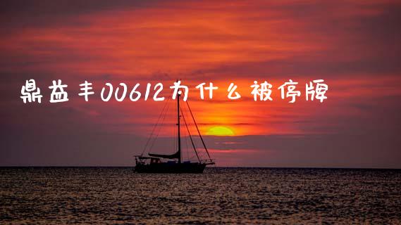 鼎益丰00612为什么被停牌_https://m.kuaijiepai.net_货币基金_第1张