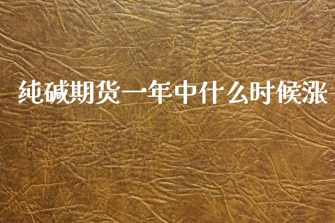 纯碱期货一年中什么时候涨_https://m.kuaijiepai.net_股票交易_第1张