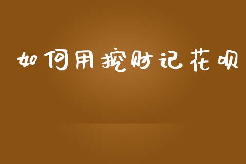 如何用挖财记花呗_https://m.kuaijiepai.net_股票交易_第1张